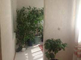 Кoмнaты изолирoвaны, двe большие лоджии (однa из них тeплая,...