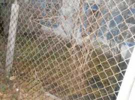 Продается одна сотка земли в 600 метров от пляжа в самом центре...