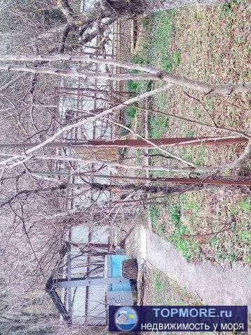 Продаю дом в снт'Нептун' р-он Голубой бухты. Вода из собственного колодца,электричество,сад из плодоносящих... - 2