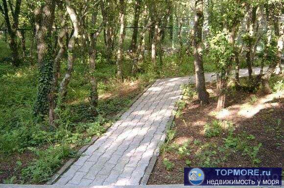 10 соток+лес 4, дом площадью 670м2 гостевой дом 300м2 свое грп, 20кв электроэнергии, канализация центральная, вода и...