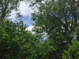 Продается участок в с. Михайловский перевал площадью 10 соток. В...