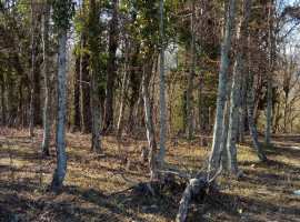 Продается участок в Дивноморске в красивым видом на море. Рядом...