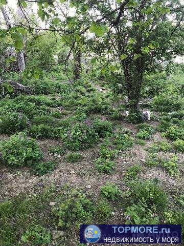 Продаётся земельный участок 4 соток по ул Советской в с Адербиевка. Все коммуникации подведены свет, газ. Недалёко... - 2