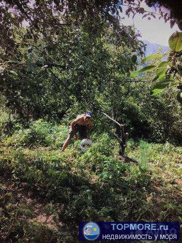 Продается дача ст *Строитель* пер. Западный 2 зем.уч-к 4 сотки, времянка , колодец , генератор, эл. свет...