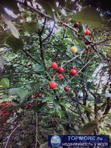 Продается дача ст *Строитель* пер. Западный 2 зем.уч-к 4 сотки, времянка , колодец , генератор, эл. свет... - 1