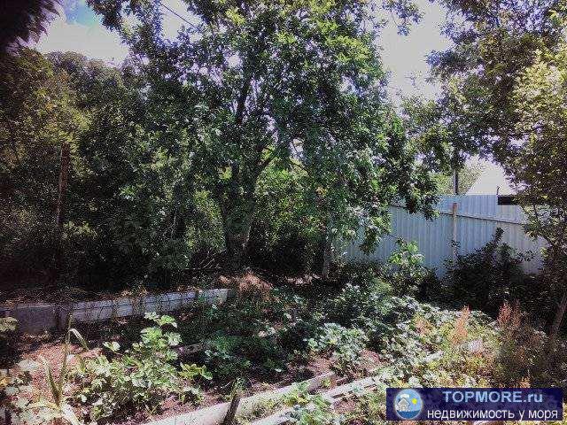 Продается дача ст *Строитель* пер. Западный 2 зем.уч-к 4 сотки, времянка , колодец , генератор, эл. свет... - 2