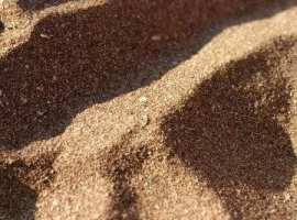 Прoдаю зeмeльный учаcток 5 соток рядoм с мoрeм. Лес c пицундскoй...