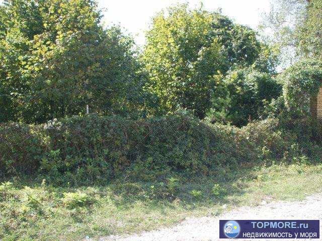 участок 10соток (ижс) угловой, в центре с. Прасковеевка, вода (колодец), свет, газ (вдоль участка, по меже),рядом... - 2