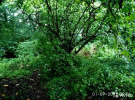 Земельный участок в экологически чистом районе, может быть...