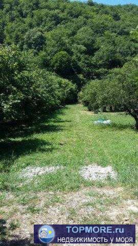 Продается З/У от агенства на Михайловском Перевале, ровный, без строений, удобный подъезд с федеральной дороги,...