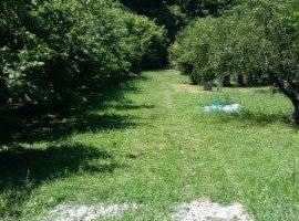 Продается З/У от агенства на Михайловском Перевале, ровный, без...