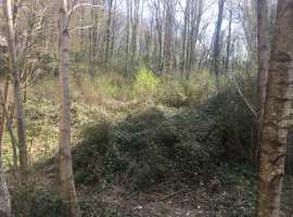 Ровный участок. До моря 200 метров.