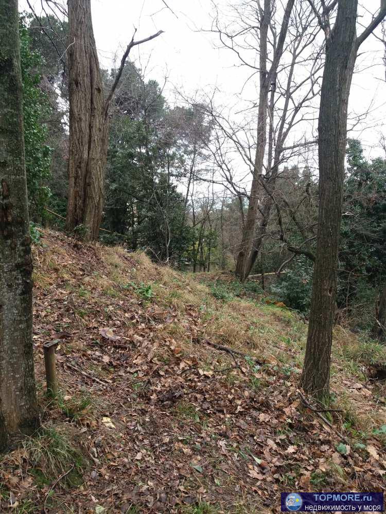 Большой Участок в Сочи  - в  центре   Продается  большой участок  площадью 21 сотка в центре города!!!  Подъезд к...