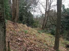 Большой Участок в Сочи  - в  центре 

Продается  большой участок...