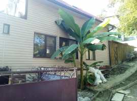 Участок ровный с плодовыми деревьями. На участке еще находится...