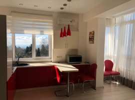 Очень классная студия с ремонтом и мебелью в спальном районе города...