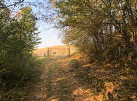 Участок 1 га идеально подойдет для застройки элитного коттеджного...