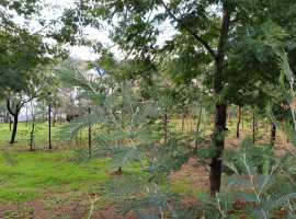 Ровный, квадратный участок, свет и газ по границе.