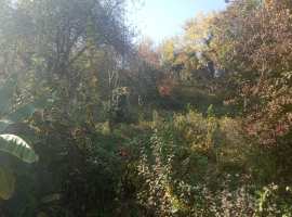 Срочно продаю земельный участок в собственности, 13 соток. участок...