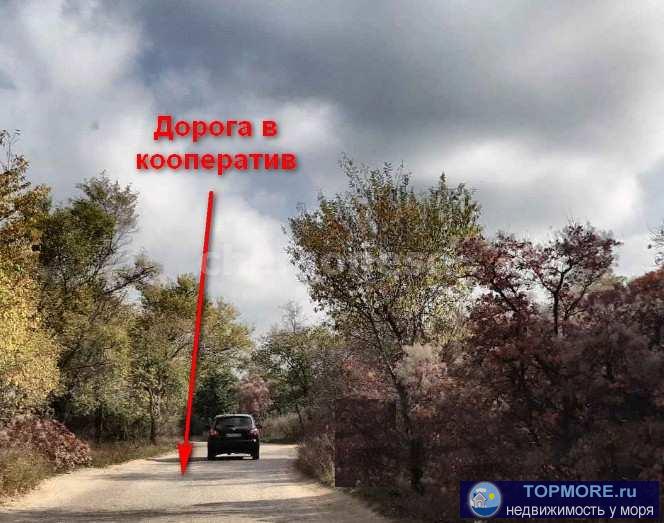 Продается участок 12 соток в СТ "Огонёк", Гагаринский район.   Участок ровный, большой, прямоугольной... - 2