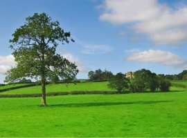 Продается участок в г Феодосия, массив "Степной", по ул...