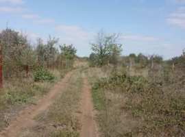 Продам 3 садовых участка по 5 соток, смежные объединены в один и...