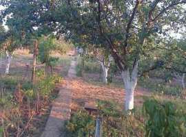 Продаётся садовый дом 20 кв.м., 9 соток в г. Феодосия, СПК Инвалиды...