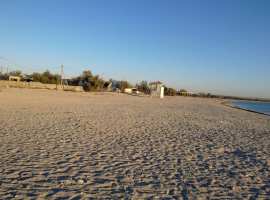 Продам землю 1,23 га товарно хозяйственное производство, в п....