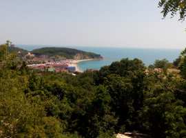 Гостевой дом расположен в с. Ольгинка, Туапсинского р-на.
Наши...