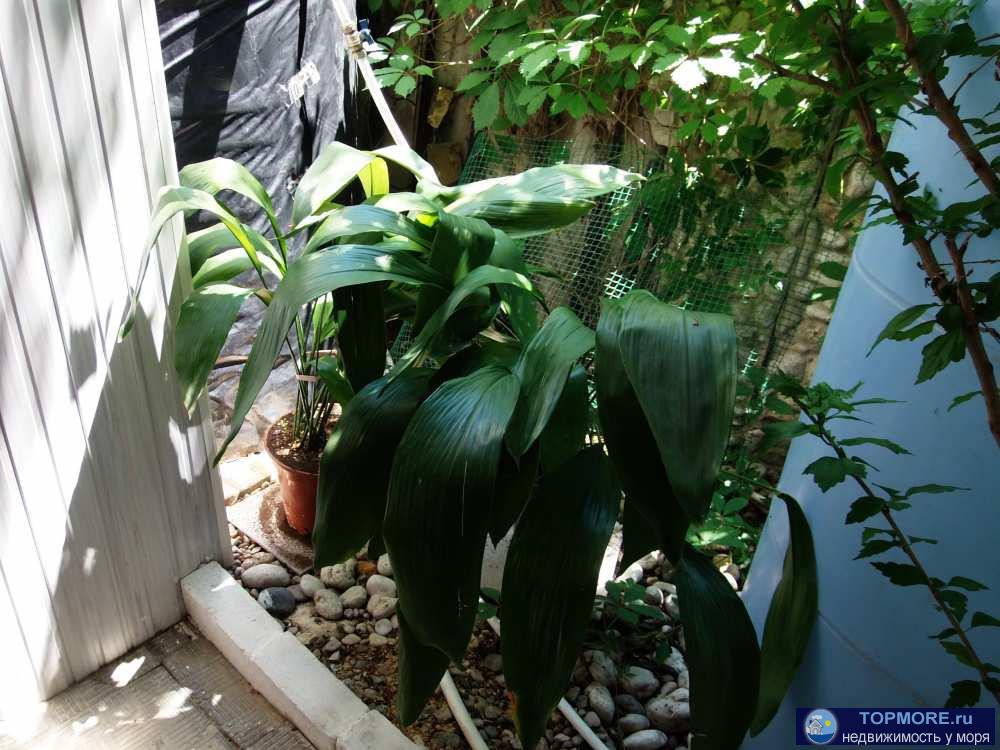 Предлагаем для проживания в Коктебеле, напротив аквапарка, двухэтажный коттедж (по одному двухкомнатному... - 36