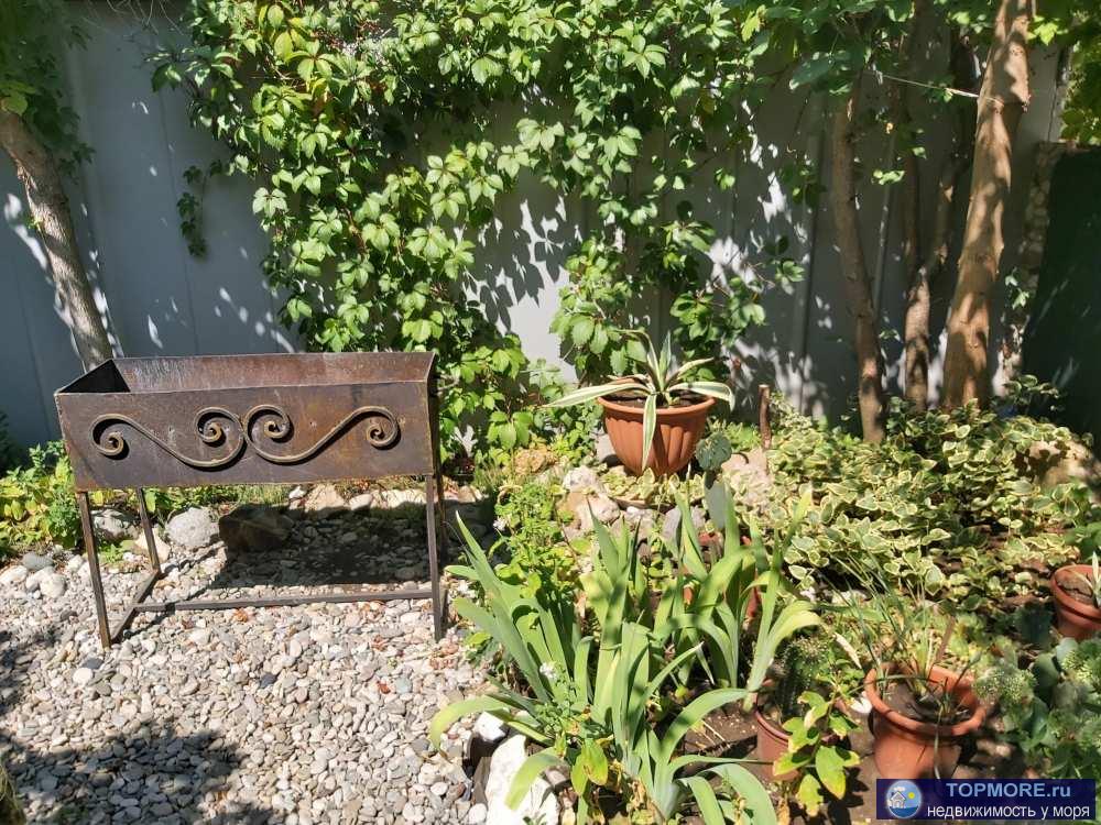 Предлагаем для проживания в Коктебеле, напротив аквапарка, двухэтажный коттедж (по одному двухкомнатному... - 9