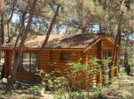 Домик в окружении можжевельника и крымской сосны в 150м от моря,...