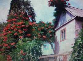 Продам одноэтажный дом площадью 58 кв.м. 4 комнаты. Площадь участка...