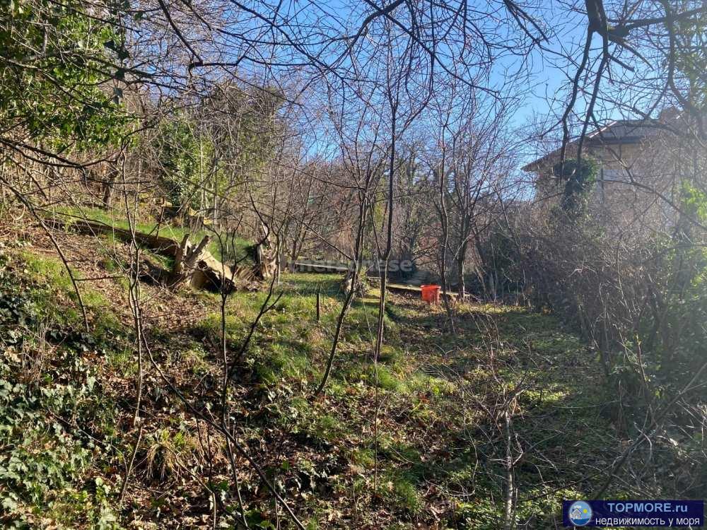 Эксклюзивный земельный  участок в Большой Ялте пгт. Массандра, площадью 8 соток. Расположен в районе ул. Винодела... - 2