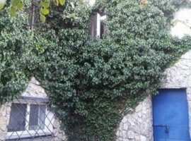 Продается благоустроенная дача с возможностью прописки, г Феодосия,...