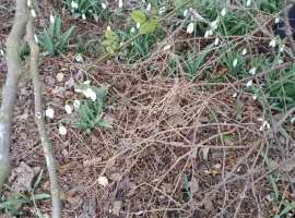 Продается участок в центре Гагаринского района 6.5 сот. СНТ...