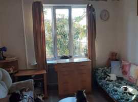 Комната 15 кв.м.  в 3 к.квартире общей площадью 68 кв.м. Соседи...