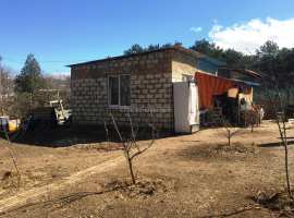 От Камышового шоссе полтора километра по асфальту плюс километр по...