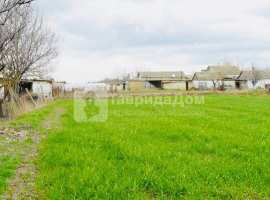 Продам дом 50 кв. м. на участке 19 соток , в 
Ярком поле по улице...