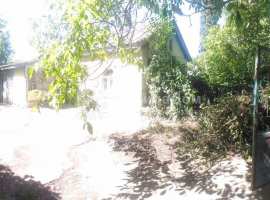 Продам дом 50 кв.м. с участком 25 соток с. Кринички, 
Феодосия...