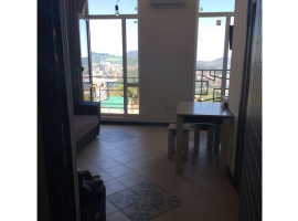 Продаётся студия с балконом и возможностью сделать 2 уровень. 2...