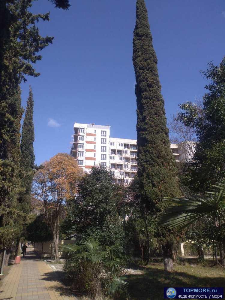 Студия 48,5 кв.м на 11 этаже в мц Хоста Ривер Парк с чудесным видом на море и Хосту.