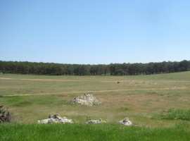 Участок 4 сот. в СНТ Клеры-3 в р-не Горбатого Моста на Фиоленте....