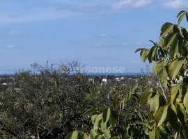Продам супер видовой участок 4 сот. СНТ Тролейбусник 1 Гагаринский...