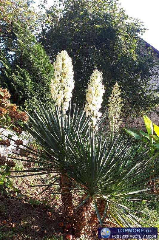 Продаётся шикарный дом в Адлерском районе. Строили для себя, внутри полностью новый ремонт. Площадь дома 305м2...