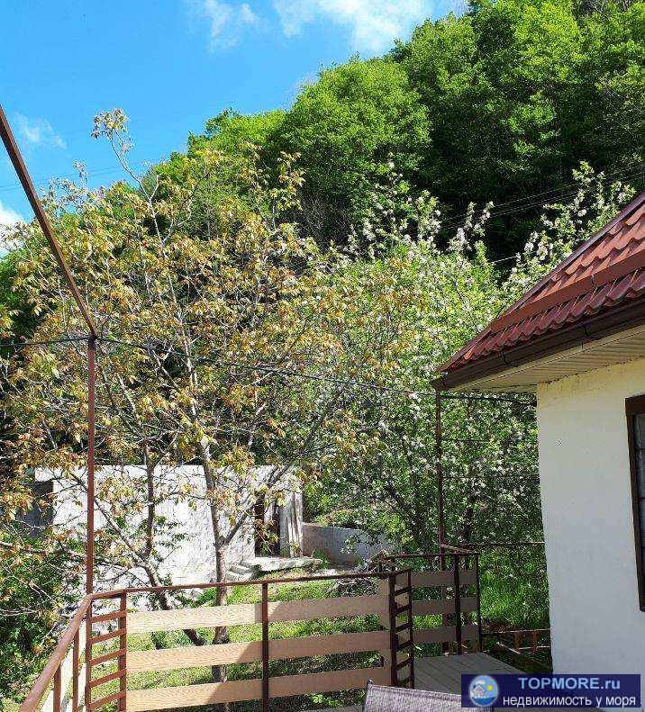 Продаётся шикарный дом в Адлерском районе. Строили для себя, внутри полностью новый ремонт. Площадь дома 305м2... - 1