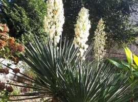 Продаётся шикарный дом в Адлерском районе. Строили для себя, внутри...