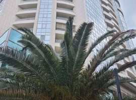 Продается шикарная квартира в самом сердце г. Сочи Золотой...