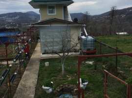 Дом  каркасный цементно струганный, 14 соток плодоносная земля,с...