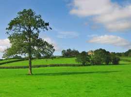 Продается земельный участок, площадь- 6 соток, расположенный в г...